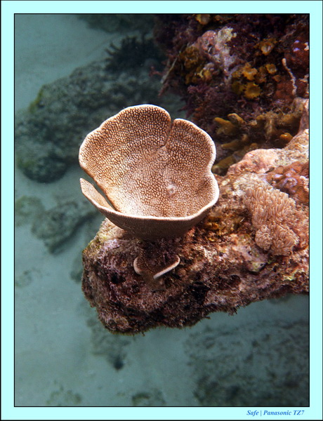 2012 - 07 - Tubod Sanctuary 09